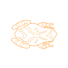 Animals Frogs Spring Peeper Svg Line Art, Free Vectors File